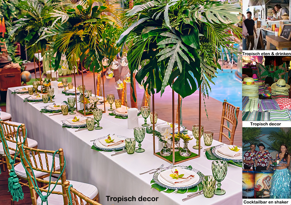 Feestzaal tropisch feest